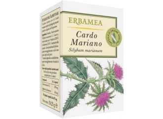 Cardo mariano 50 opercoli