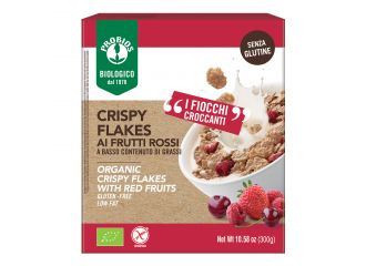 Easy to go crispy flakes ai frutti rossi 300 g