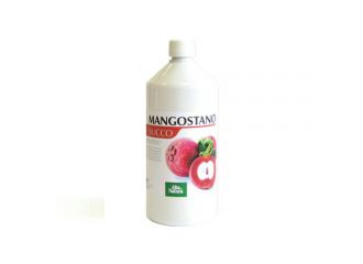 Mangostano succo 1l