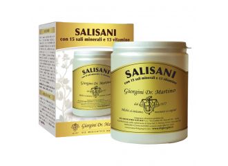 Salisani vitaminsport 360 g polvere