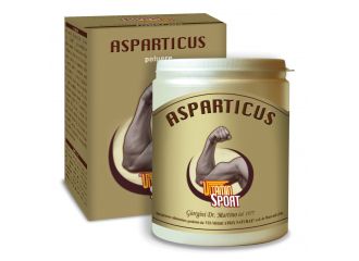 Asparticus vitaminsport 360 g
