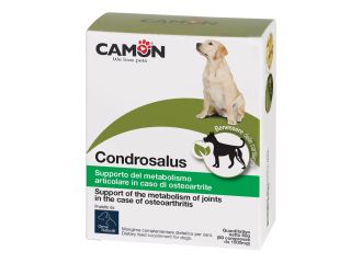 Orme naturali condrosalus 60 compresse