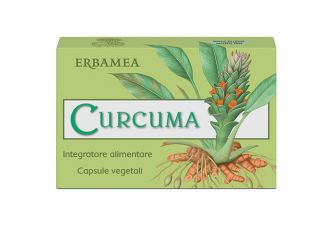 Curcuma 24 capsule vegetali 12 g