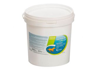 Gastrocure secchiello 2,6 kg