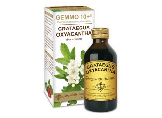 Gemmo 10+ biancospino liquido analcolico 100 ml