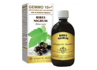 Gemmo 10+ ribes nero 500 ml liquido analcolico
