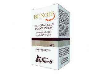Benoit lactobacillus plantharum 30 capsule