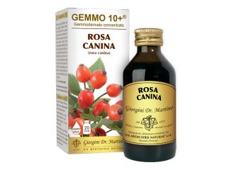 Gemmo 10+ rosa canina liquido analcolico 100 ml