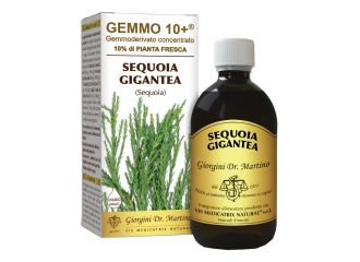 Gemmo 10+ sequoia 500 ml liquido analcolico