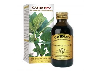 Gastromix liquido analcolico 100 ml