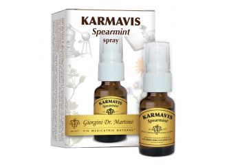 Karmavis spearmint spray 15 ml