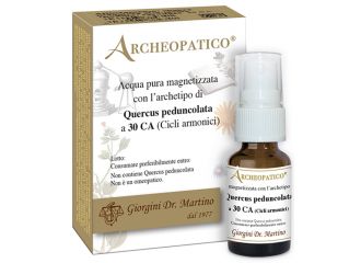 Quercus peduncolata 30ca   svs