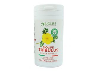 Tribulus terrestris 60 capsule