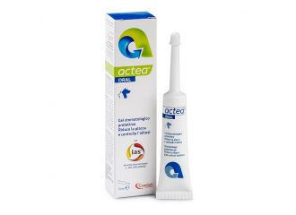Actea oral gel stomatologico 15 ml