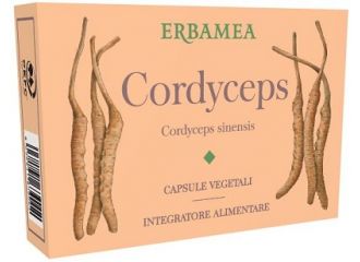 Cordyceps 24 capsule vegetali