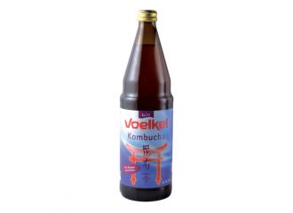 Kombucha 1 l