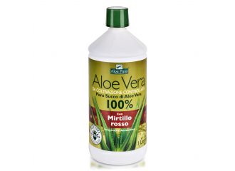 Aloe vera succo mirtillo rosso 1 l