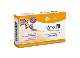Intoxifit 24 capsule gastroresistenti 600 mg