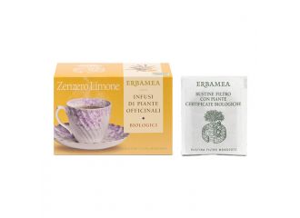 Zenzero/lim bio 20 bustine 30 g