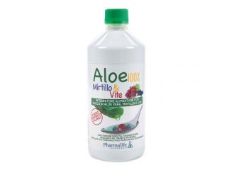 Aloe mirtillo & vite 1 litro