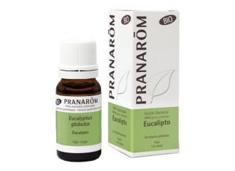 Pranarom eucalipto globulus olio essenziale bio 10 ml