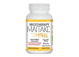 Micotherapy maitake 90 capsule