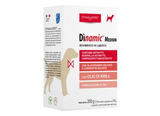 Dinamic 20 bustine 10 g