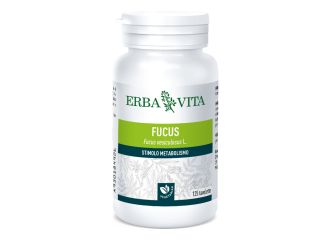 Fucus 125 tavolette