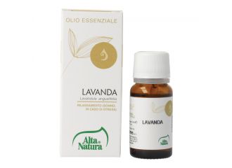 Essentia lavanda olio essenziale 10 ml