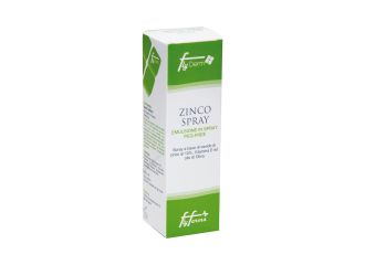 Flyderm zinco spray 100 ml