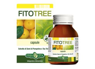 Fitotree 60 capsule