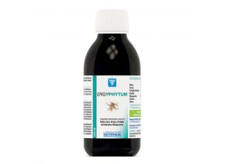 Ergyphytum 250 ml