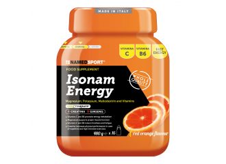 Isonam energy orange polvere 480 g