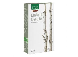 Linfa di betulla biologico 20 ampolle bevibili da 15 ml