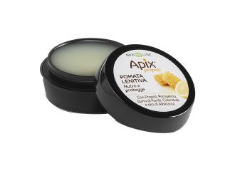 Apix propoli pomata lenitiva naso labbra 8 ml