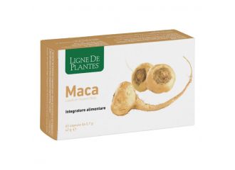 Maca 60 capsule