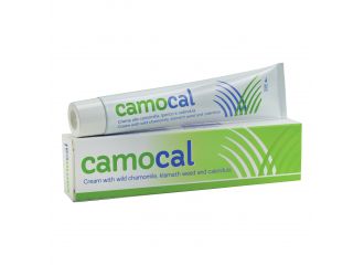 Crema vegetale per le affezioni anali camocal 50 ml