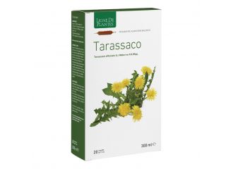 Tarassaco biologico 20 ampolle bevibili da 15 ml