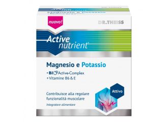 Theiss an mg/k 20 bustine