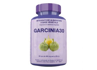 Garcinia30 60 capsule 29,4 grammi