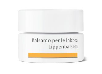 Dr hauschka balsamo labbra 4,5g