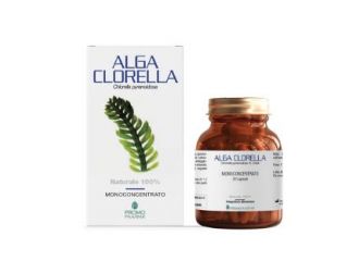 Alga clorella 50 capsule