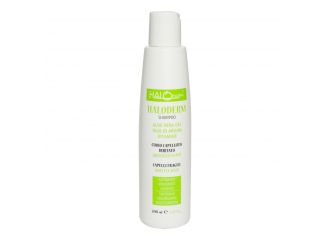 Haloderm shampoo 200 ml