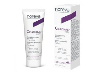 Cicadiane crema 40 ml