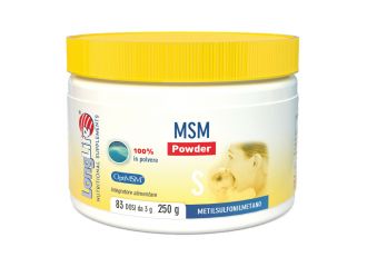 Longlife msm powder 250 g