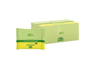 Zanzhelan salviettine profumate 15 pezzi