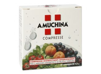 Amuchina compresse 1 g 24 pezzi