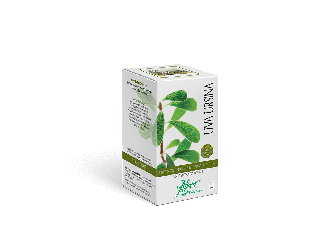 Uva ursina concentrato totale 50 opercoli