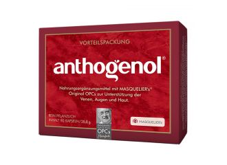 Opc masquelier anthogenol 90 capsule