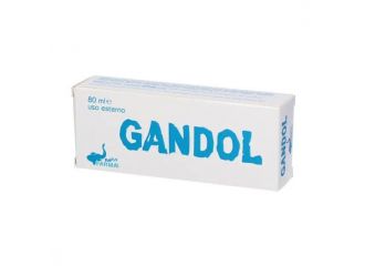 Gandol gel anti dolorifico 80ml